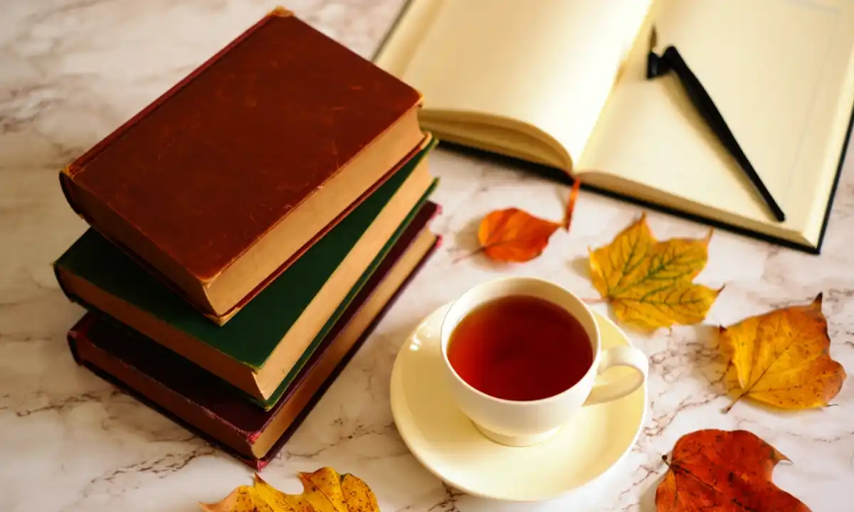 English Suggestion 2027